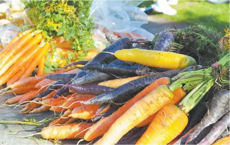  ??  ?? Spring Creek Organics Heirloom carrots, in shades of purple, yellow and orange grown especially for Farmers’ Markets.