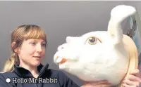  ??  ?? Hello Mr Rabbit