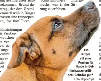  ?? Foto: Hoppe/dpa ?? Ein Bürger will eine Pension für Hunde in Bet linshausen eröff nen. Geht das gut?