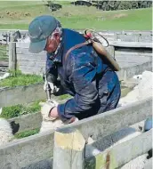  ??  ?? In action: The technology stops farmers from over drenching.