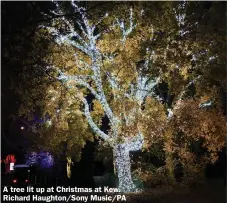  ?? Richard Haughton/Sony Music/PA ?? A tree lit up at Christmas at Kew.