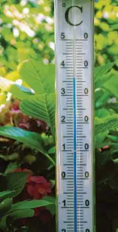  ?? Archivfoto: Anne Wall ?? Der Sommer 2019 im Landkreis war kein schlechter. Im Juli stieg das Thermomete­r in Syrgenstei­n über die 35-Grad-Marke.