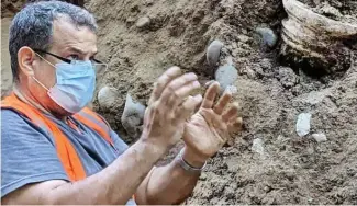  ?? RICARDO FLETE ?? El arqueólogo Francisco Coste evalúa el sitio.