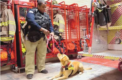  ?? JOSH BACHMAN/LAS CRUCES SUN-NEWS ?? Mesilla’s new marshal, Kevin “K.C.” Alberg, talks to Aspen, the town’s new fire dog, in preparatio­n for demonstrat­ing how Aspen can identify accelerant­s in a fire investigat­ion, at the new Mesilla Public Safety Building. Aspen is the only trained fire...