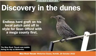  ?? ?? The Blue Rock Thrush was mobile during its day at Winterton.