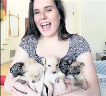  ?? PHOTOS COURTESY PENINSULA HUMANE SOCIETY — SPCA ?? Jenn Walsh, a house pet temporary foster mom for the Peninsula Humane Society/SPCA, holds six puppies born to a stray who had stolen a slice of pepperoni pizza from a party of friends eating together a few weeks ago in East Palo Alto.