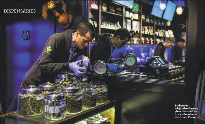  ?? Gabrielle Lurie / The Chronicle ?? Budtender Alejandro Garcias gives the smell test to merchandis­e at the Green Cross.