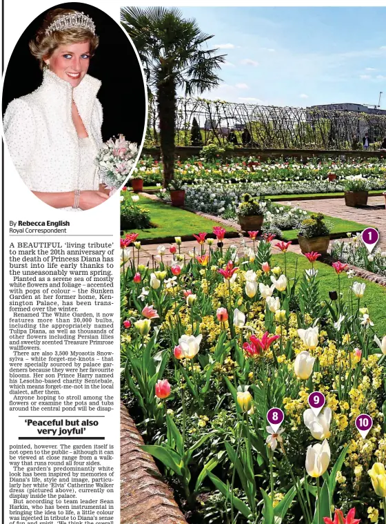  ??  ?? Living tribute: The newly created White Garden at Kensington Palace. Inset: Diana in the 1 9 8 10