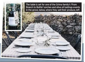  ??  ?? The table is set for one of the Grima family’s ‘From Branch to Bottle’ lunches and olive oil tastings events in the grove, below, where they sell their produce, left