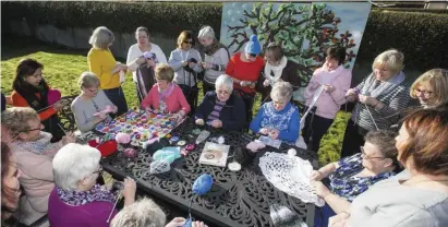  ??  ?? The Access 2000 knitting group wil will be yarn-bombing in Selskar, Wexford. SEE NUMBER 1.