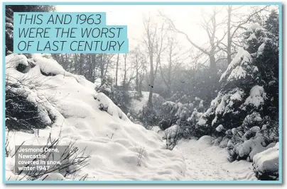  ??  ?? Jesmond Dene, Newcastle covered in snow, winter 1947 THIS AND 1963 WERE THE WORST OF LAST CENTURY