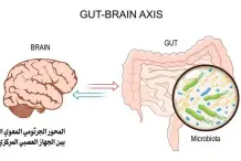  ?? ?? المحور الجرثومي المعوي العصبي يربط بين الجهاز العصبي المركزي واألمعاء