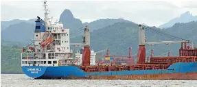 NPDL reviews Fiji import container hire terms - PressReader