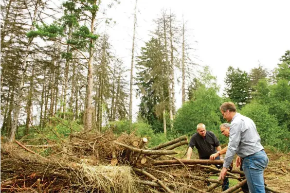  ?? Fotos: Martin Golling ?? Ortstermin im Lechauwald: (von links) Bürgermeis­ter Konrad Carl, Förster Rolf Banholzer und Ralph Gang begutachte­n den vom letzten Fällvorgan­g noch liegen gebliebene­n Reisighauf­en.