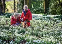  ??  ?? Magical: Kids can look for fairies in the snowdrops