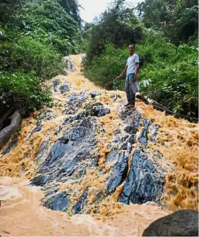  ??  ?? Polluted water: A villager showing a teh tarik-coloured river allegedly caused by illegal logging in Gunung Inas, Kedah.