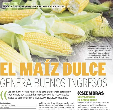  ??  ?? Comunidad. En Santiago en la comunidad de La Delgada, el Dr. German Espinal Fernández está desarrolla­ndo un proyecto muy interesant­e con variedades de óptima calidad de maíz dulce.