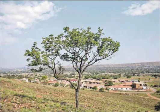  ??  ?? Renewal: Lady Selborne is being rebuilt on the slopes of the Magaliesbe­rg after people’s homes were bulldozed in the 1960s