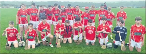  ?? ?? The Watergrass­hill U12 team that lost out narrowly in the 2021 Fé12 D3HL final.