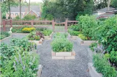  ?? HEATHER BLACKMORE/THE ORGANIC GARDENER ?? Urban farming services cater to clients who want homegrown produce — without the work.