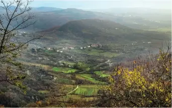  ??  ?? Avec ses oliviers et ses collines, la campagne istrienne rappelle la Toscane. – Gracieuset­é