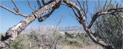  ?? Foto: Ángel García ?? Ein verlassene­s und brach liegendes Feld, auf dem längst nichts mehr gedeiht.