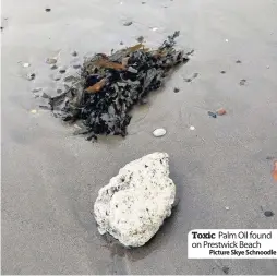  ??  ?? Toxic Palm Oil found on Prestwick BeachPictu­re Skye Schnoodle