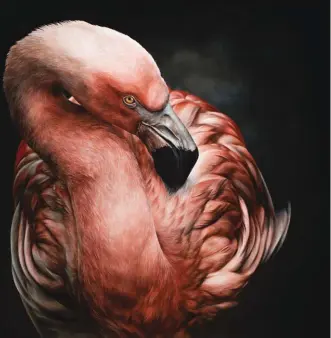  ??  ?? Atacama, oil on canvas, 80 x 80 cm
Atacama is an area in Chile where many flamingo colonies can be found. Here I reworked the photo to highlight all the lights on the feathers, and the colors that I wanted to make more flamboyant.