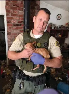  ?? Courtesy photo ?? COBRA team member Deputy Adam Dorman with the Santa Clarita Valley Sheriff’s Station comforts one of the dogs rescued in Neenach Thursday.