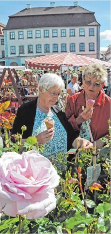  ?? FOTO: ROLAND RAY ?? Schauen, Schnuppern und genießen heißt es auf dem Laupheimer Rosenmarkt am 17. Juni.