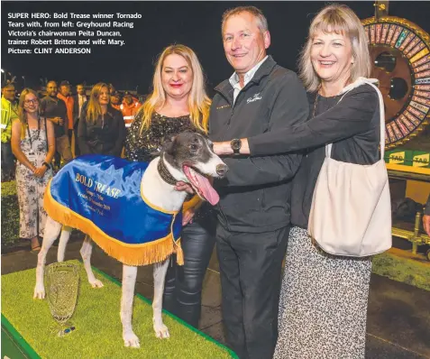  ?? Picture: CLINT ANDERSON ?? SUPER HERO: Bold Trease winner Tornado Tears with, from left: Greyhound Racing Victoria’s chairwoman Peita Duncan, trainer Robert Britton and wife Mary.