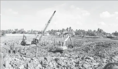  ??  ?? Constructi­on workers busy at work in the swamp left behind when the Company Path basin was drained.