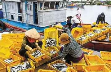  ?? — AFP ?? Expanding markets: Workers sorting fish after a catch in Hanoi. Every year the city organises dozens of fairs to help cooperativ­es and businesses participat­e in introducin­g safe agricultur­al products to customers.