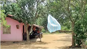  ??  ?? Villagers are forced to protect individual homes using live-wire fences. The plastic bags is a warning the fence is live