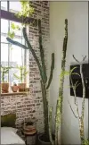  ?? COURTESY OF CARY SMITH/ THE VICTORIAN ATLANTA ?? Houseplant­s and plenty of sunlight bring biophilic features indoors.