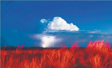  ?? ROBERTO E. ROSALES/JOURNAL ?? A bolt of lightning highlights an early evening monsoon storm over the plains of New Mexico just east of Roswell on Saturday night. The National Weather Service said Monday that an active storm pattern is returning to the state. The red in the grass on...