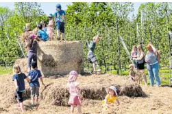  ?? ?? Die Strohburgz­umtoben ist bei Kindern ein Renner bei jedem Hoffest der Ottes.