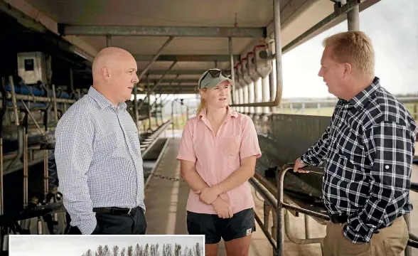  ?? ?? From left: Christophe­r Luxon, Danielle Hovmand and Todd McClay discuss Hovmand’s 270 cow operation.