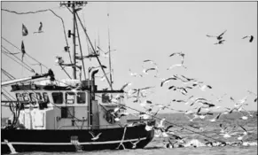  ??  ?? Een garnalenvi­sser dicht voor de kust van Katwijk. (Foto: De Telegraaf)