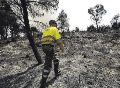  ?? ?? Un forestal camina sobre el terreno calcinado por el incendio de Nonaspe, que calcinó 1.850 hectáreas.