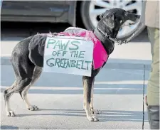  ?? BARRY GRAY THE HAMILTON SPECTATOR FILE PHOTO ?? Even the dogs got into the act at a Hamilton Greenbelt rally. Daniel Coleman argues we’re forgetting the importance of natural laws.