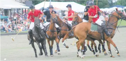  ?? Photo / Colin Thorsen ?? Internatio­nal polo action at Kihikihi from a decade ago.