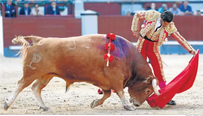  ?? RODRIGO JIMÉNEZ / EFE ?? La plaza de Las Ventas rugió con la sinfonía de Morante a ‘Pelucón’, a quien receta este majestuoso natural, sólo una bellísima estampa que formó parte de una obra perfecta.