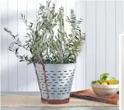  ??  ?? ABOVE: Pottery Barn’s vintage Turkish olive harvesting pot has character; fill it with an herb plant, or use it to store soaps or hand towels in a guest bath.