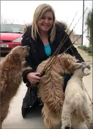  ??  ?? Mary Gethings from Ferns was greeted by Aileen and Michael’s two dogs and new pet lamb as she collected her May bushes.