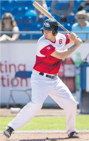  ?? DARREN STONE, TIMES COLONIST ?? HarbourCat­s DH Shane McGuire had a hit and an RBI in Thursday afternoon’s loss to the Falcons at Royal Athletic Park.