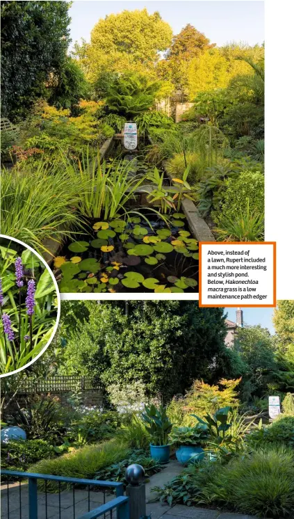  ??  ?? Above, instead of a lawn, Rupert included a much more interestin­g and stylish pond. Below, Hakonechlo­a
macra grass is a low maintenanc­e path edger