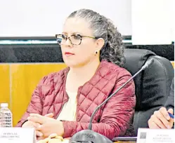  ??  ?? La iniciativa fue propuesta por la diputada Miroslava Carrillo