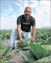  ??  ?? TAKING A STAND: Nazeer Sonday, who has been an activist against developmen­t of the Philippi Horticultu­ral Area, on one of its productive vegetable farms.