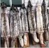  ??  ?? SICK Chinese fur farm